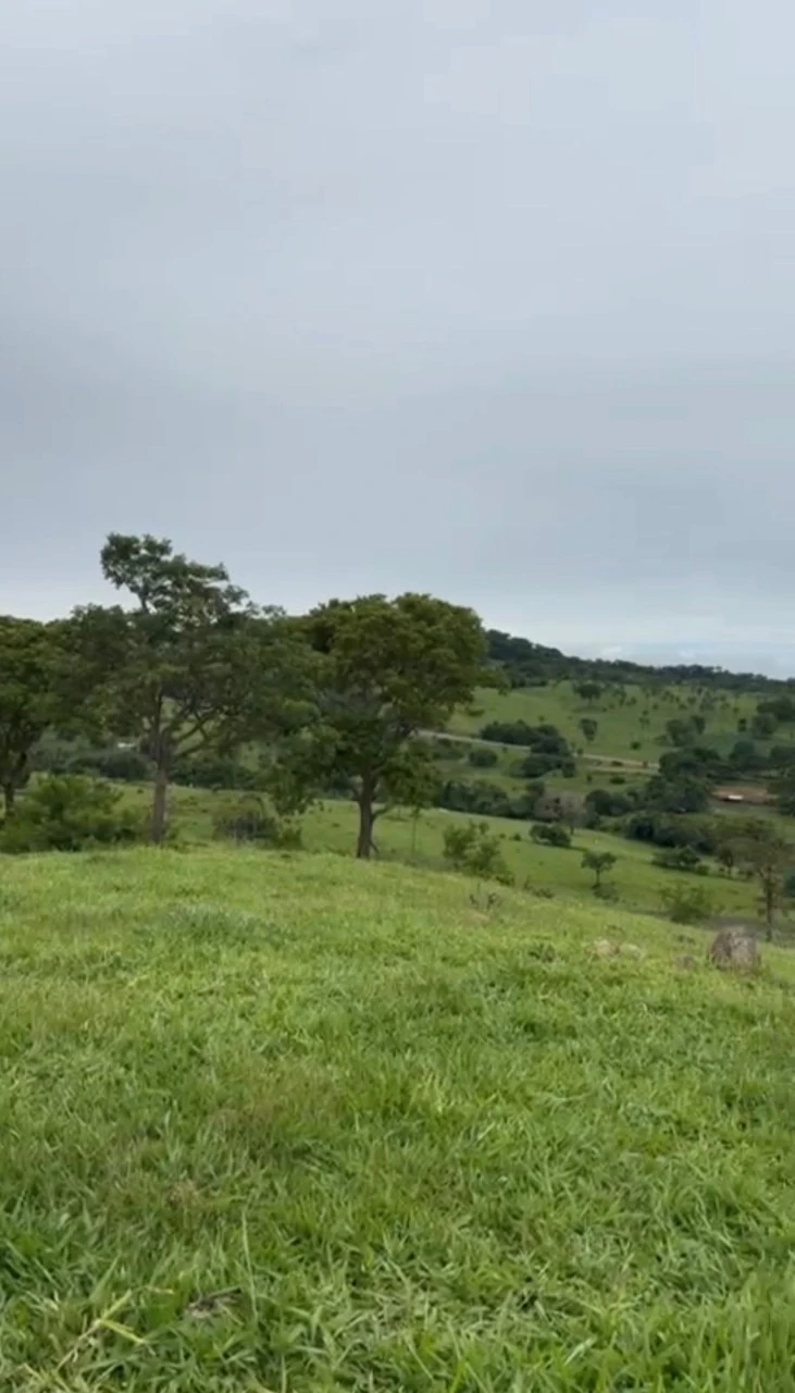 Foto 4 do imóvel