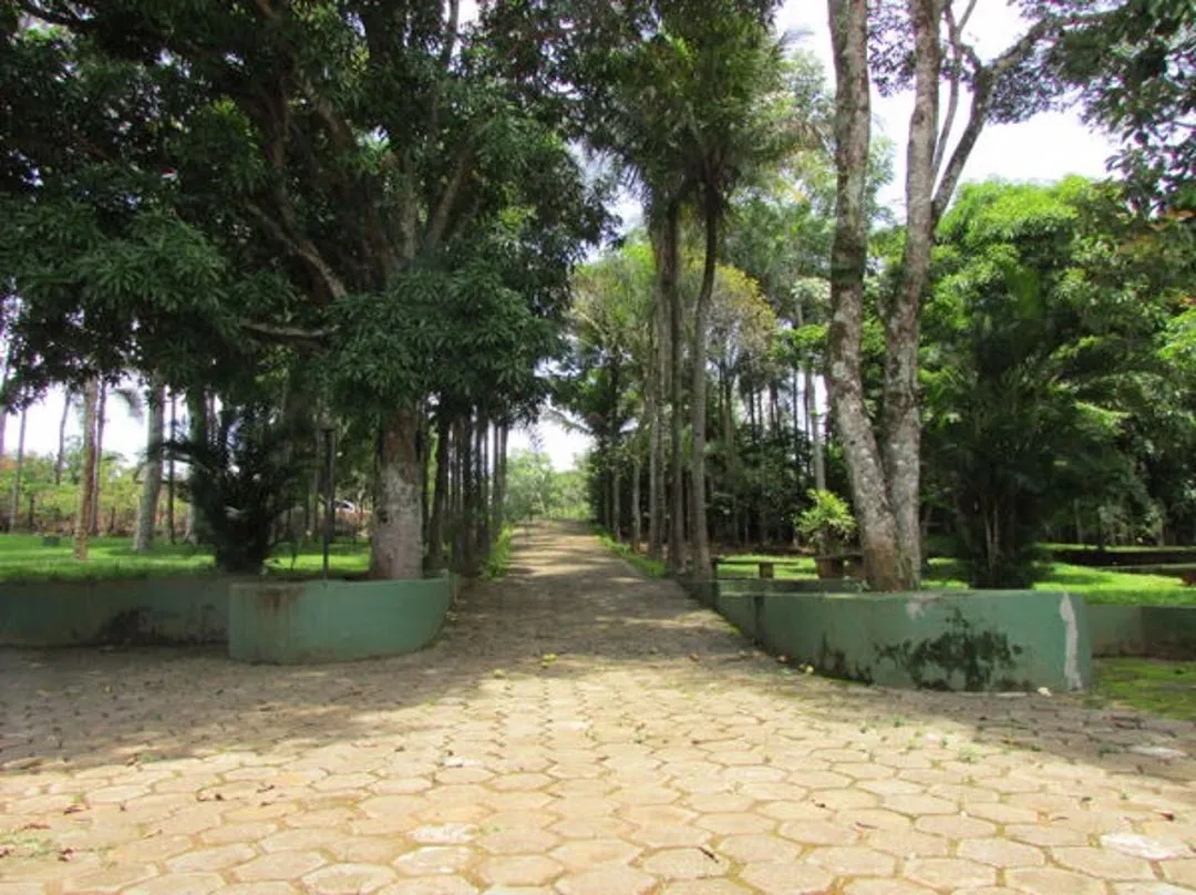 Foto 4 do imóvel